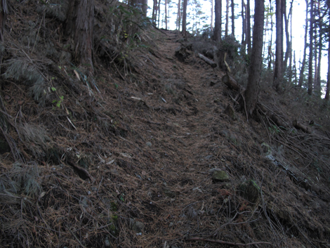 20181214hike (19)